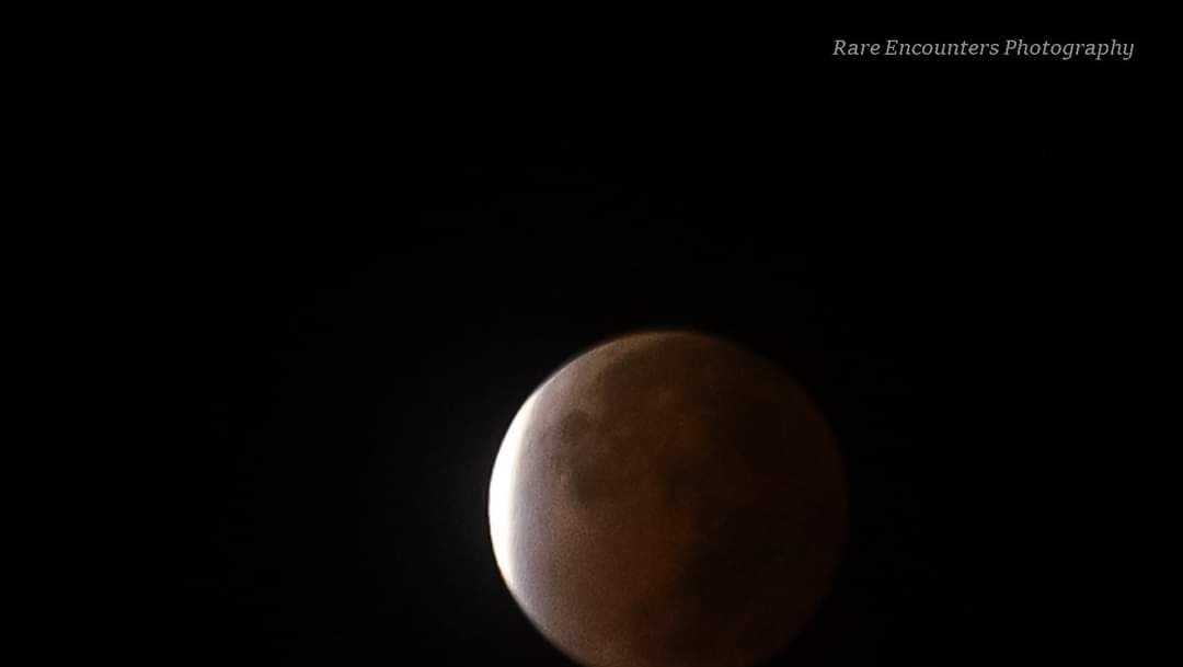 Savannah area residents share images of historic lunar eclipse