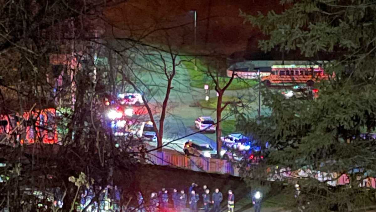 Suspect in custody after police chase ends in Wilkinsburg pool - WTAE