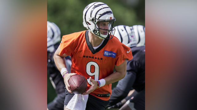 Ring of Honor, 'White Bengal' helmet: What to know for Bengals vs. Dolphins game - Vimarsana News