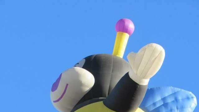 Joelly Bee balloon stolen in Albuquerque - Vimarsana News