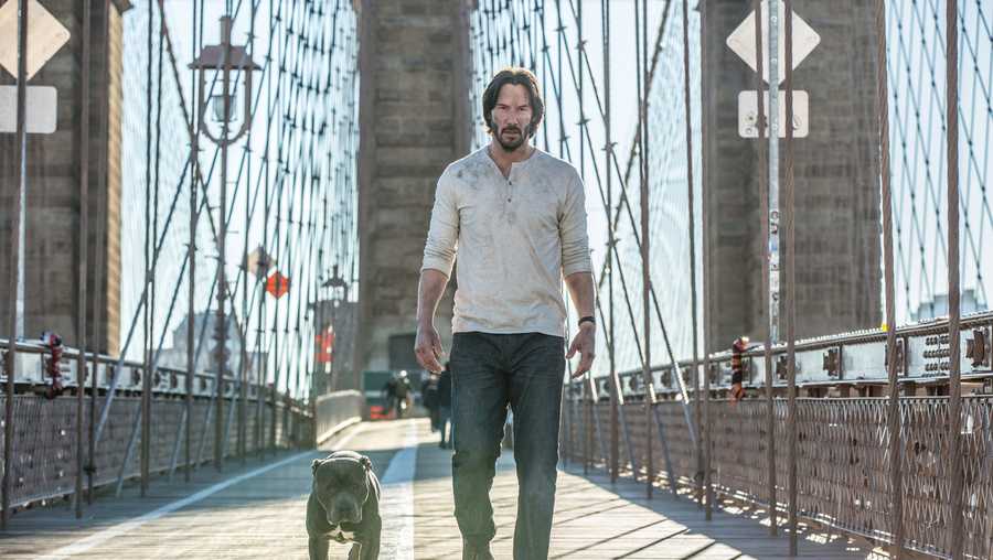The movie John Wick 2. John wears a dirty white shirt. This is because all  his clothes and his washer were burned up when they blew up his house. His  dog is