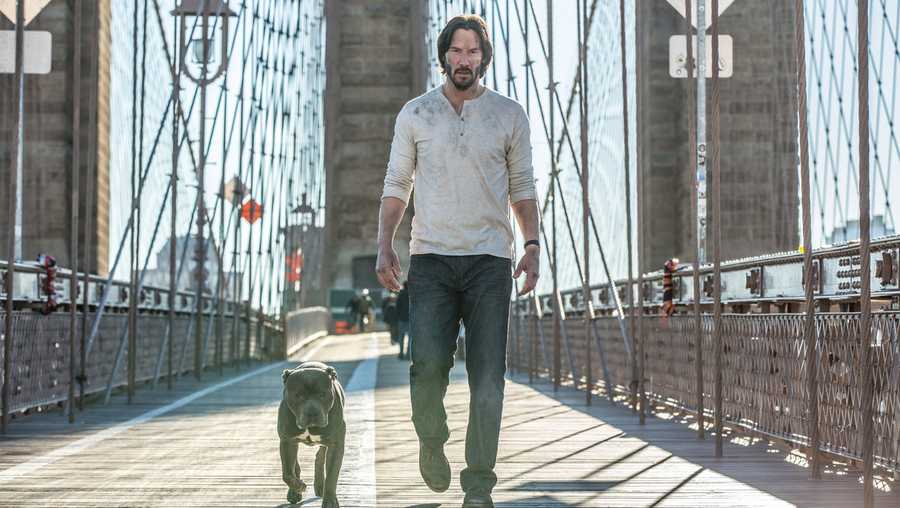 The movie John Wick 2. John wears a dirty white shirt. This is because all his clothes and his washer were burned up when they blew up his house. His dog is
