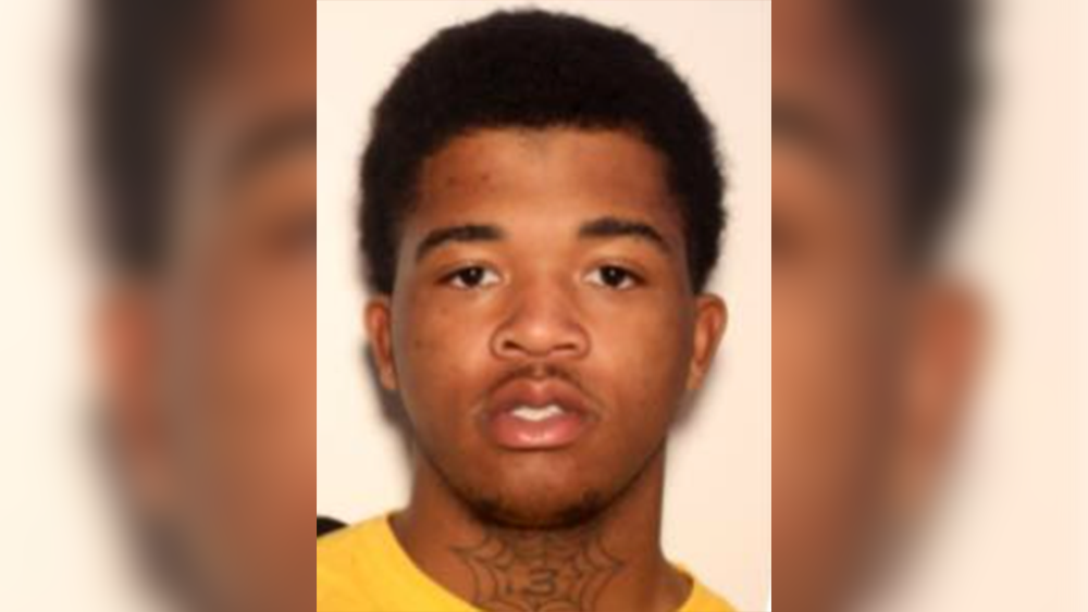 Georgia: Authorities searching for teen murder suspect on the run - WJCL