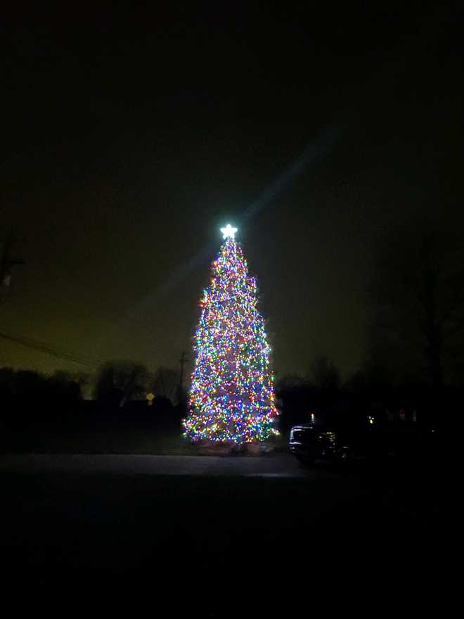 Liberty Township father, daughter turn massive pine into Christmas tree