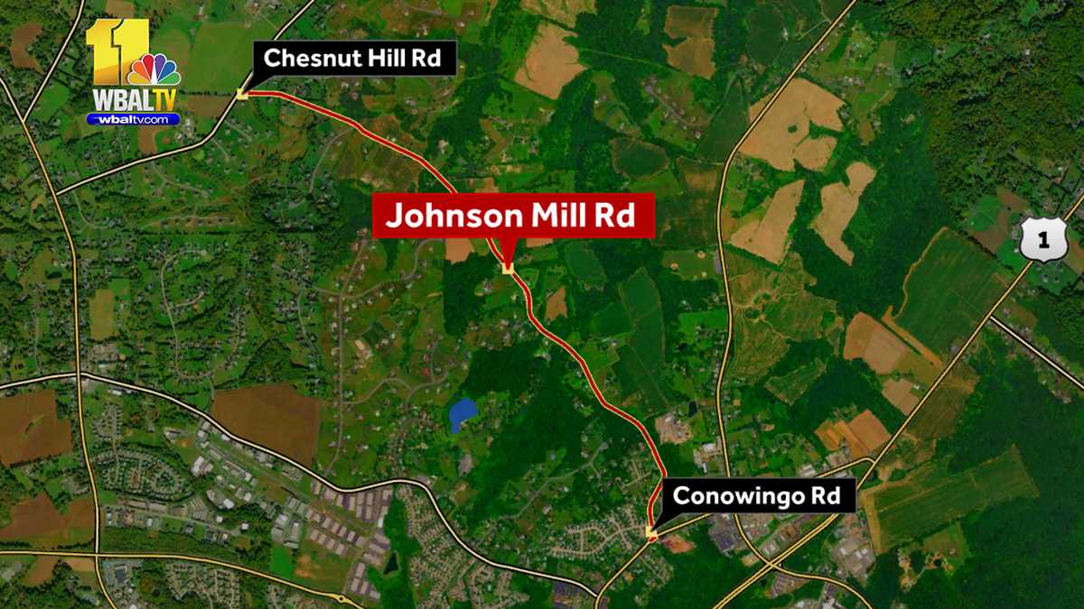 Forest Hill bridge replacement to close road for 6 months