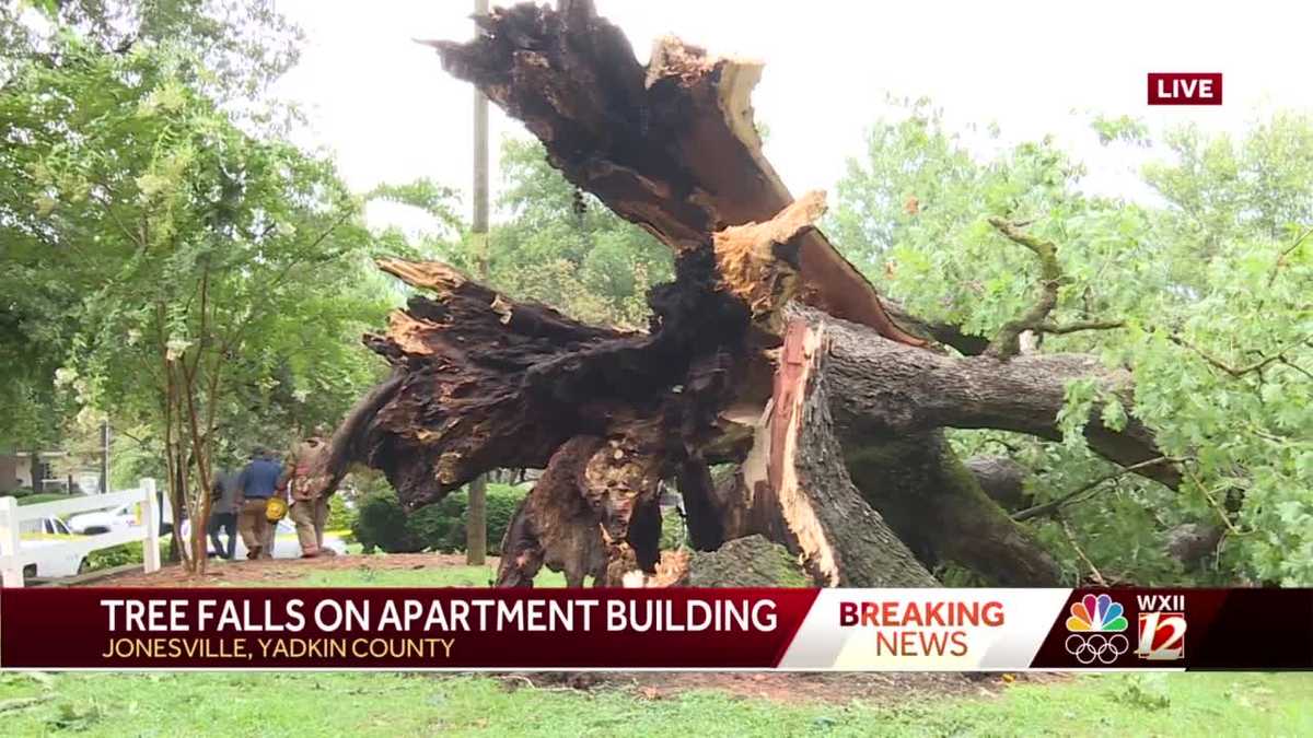 Tree falls on Jonestown apartment building