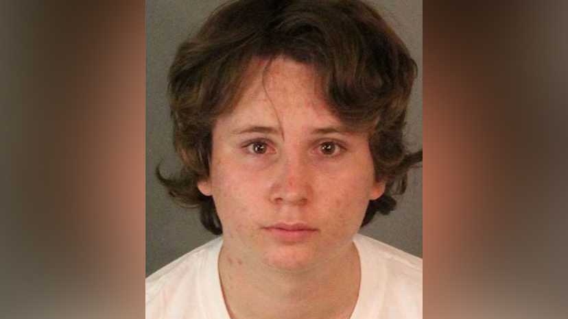 Teen admits to molesting 50 children across SoCal
