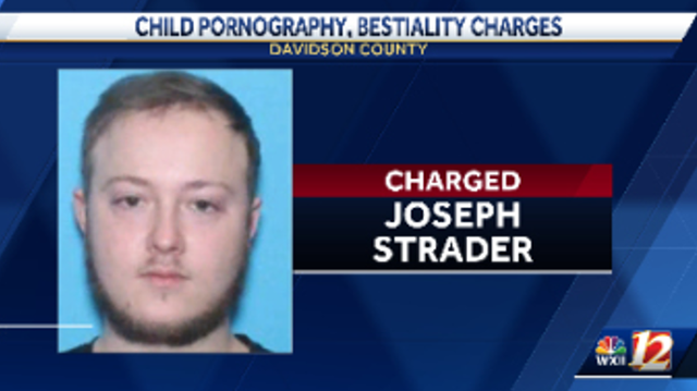 Man facing child, animal sex charges in Davidson County - Vimarsana News