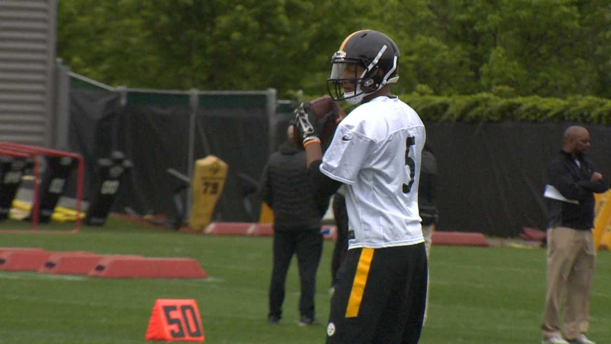 Steelers Depot 7⃣ on X: 'Duck' is back: #Steelers re-sign Devlin Hodges to  be No. 3 QB, replace traded Josh Dobbs    / X