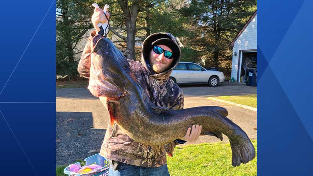 State record set after 57-pound invasive flathead catfish caught