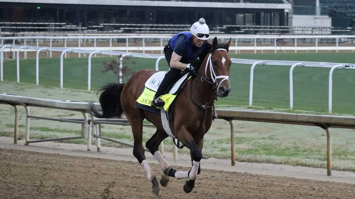 Journalism favored to win 2025 Kentucky Derby