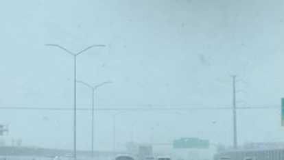 Weather conditions force closures in Albuquerque - Vimarsana News