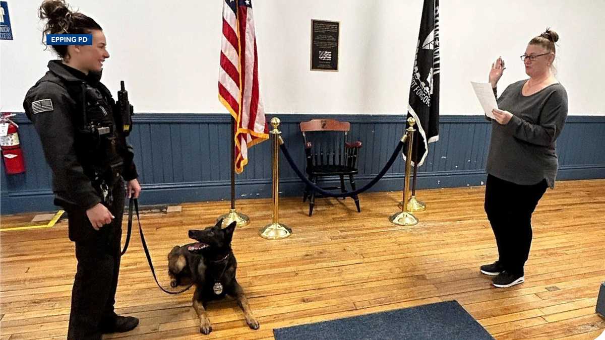 Benjamin Cop Epping police K-9 Benjamin sworn in day after celebrating birthday