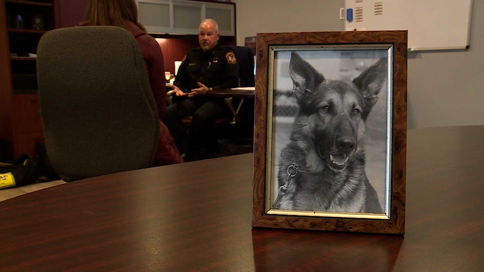 Former K9 Officer Says No Stronger Bond Than Officer And His K9   K9 1676672256 