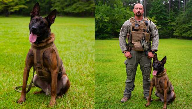 K9 Coba and Special Agent Richard “Cole” Powell