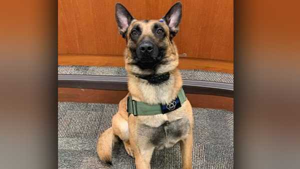 Suspect identified in police shootout that killed Bullitt County K-9