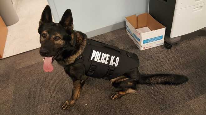 Kenton Co. K-9 gets new bulletproof vest