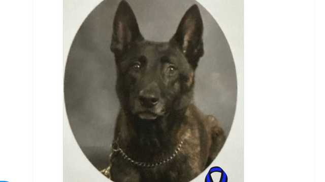 Mississippi shooting kills K9 - Vimarsana News