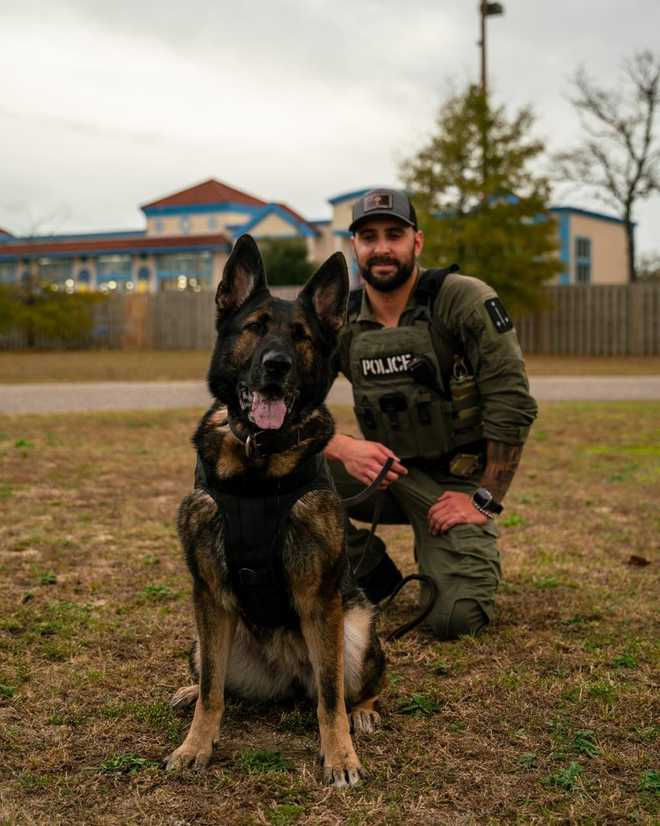 k9 si