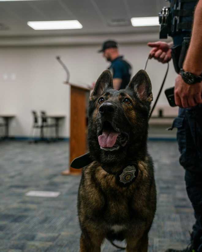 k9 si