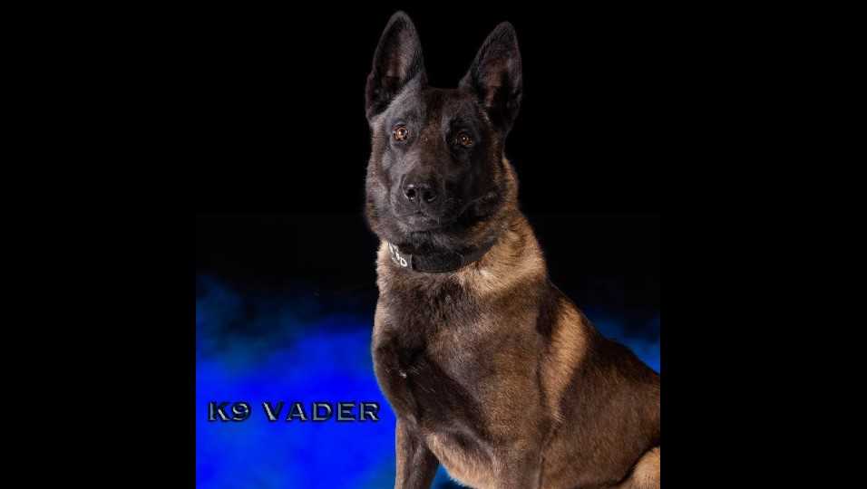 Missouri police K-9 dies of heat exhaustion after patrol vehicle’s air conditioner fails