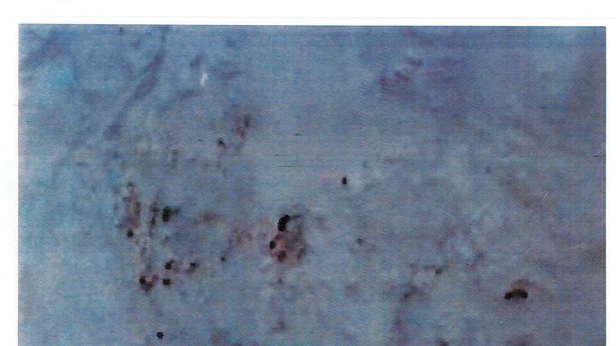 Karen Read murder trial: Evidence shown to jurors in courtroom