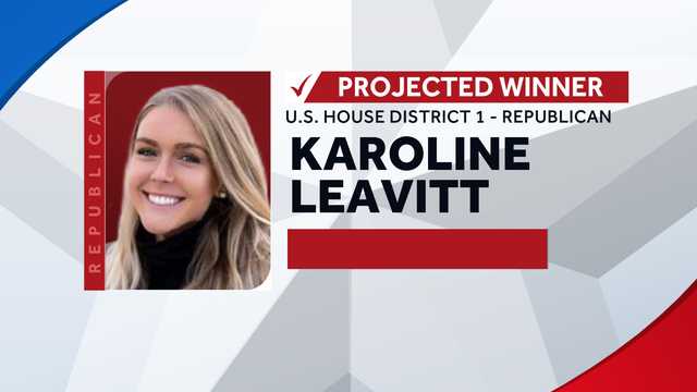 Republican voters set to choose in NH 1st District race - Vimarsana News
