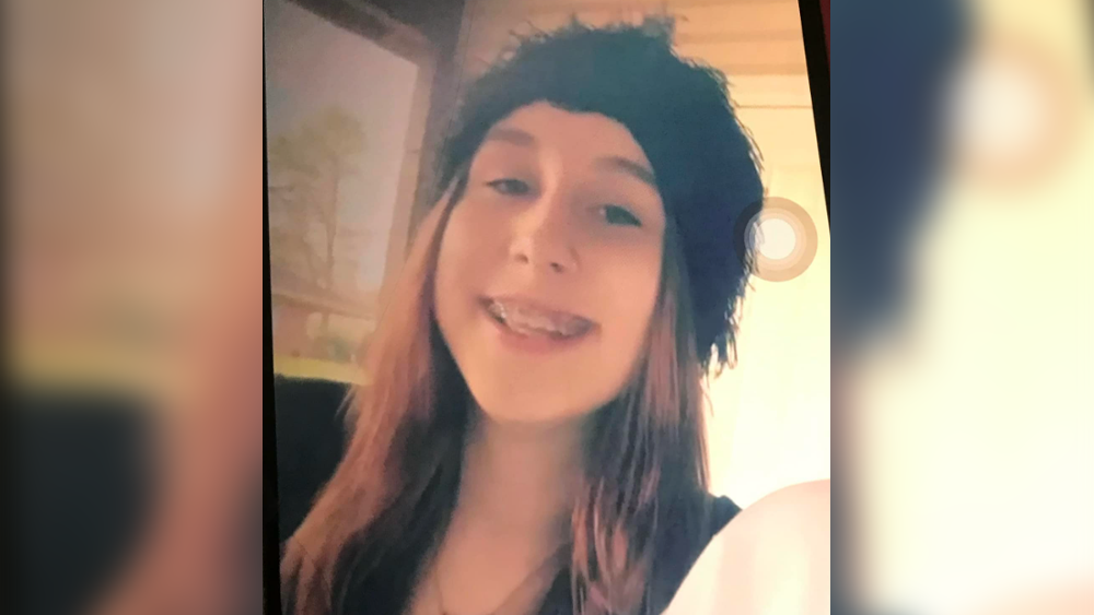 Georgia: Police searching for girl who vanished overnight - Vimarsana News