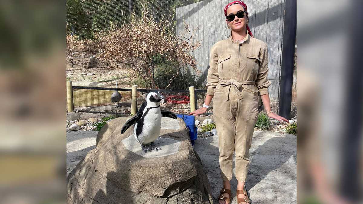Katy Perry, residente de New Kentucky, asiste al zoológico de Louisville