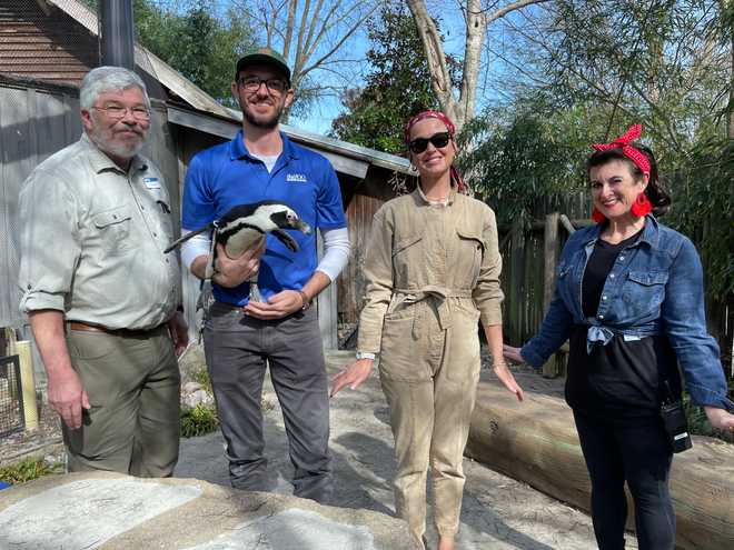 La nueva residente de Kentucky, Katy Perry, pasa el rato en el zoológico de Louisville