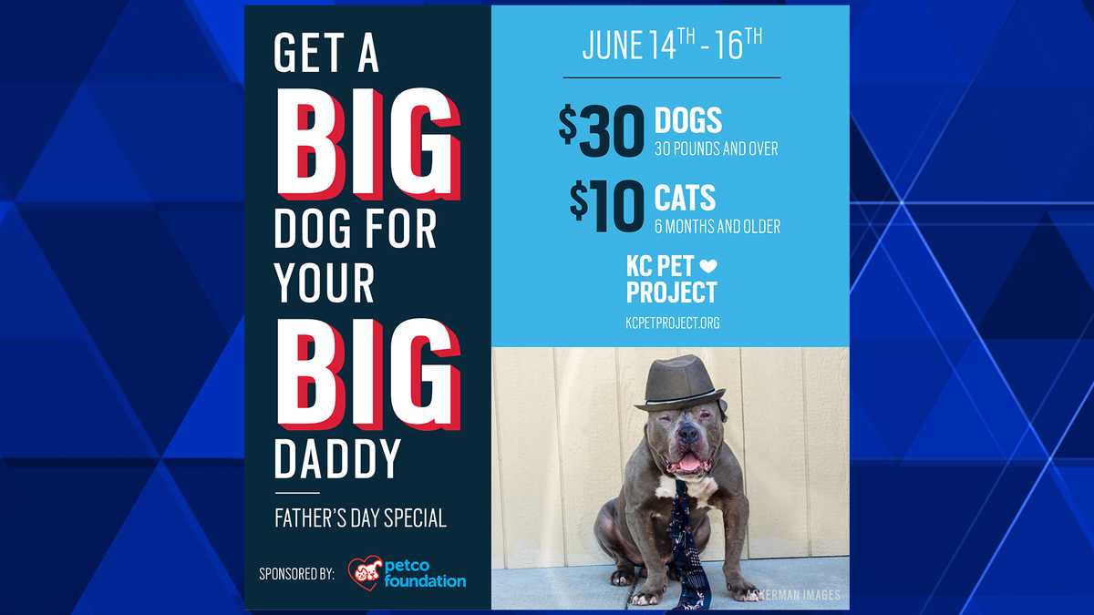 KC Pet Project holding Father's Day adoption special to ...