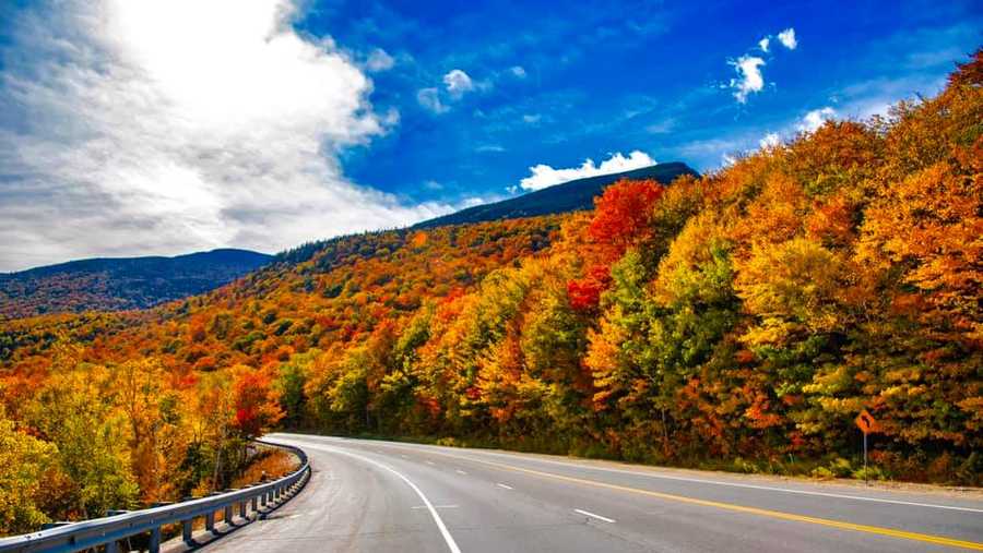 Bear Notch Road