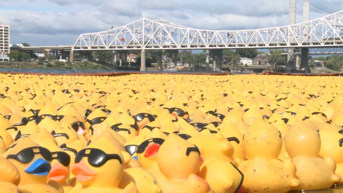 Duck adoptions for 15th Annual KenDucky Derby now on sale
