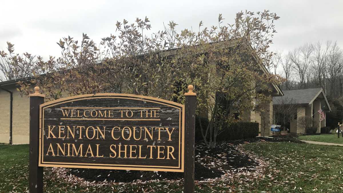 Kenton County Animal Shelter waives adoption fees in December