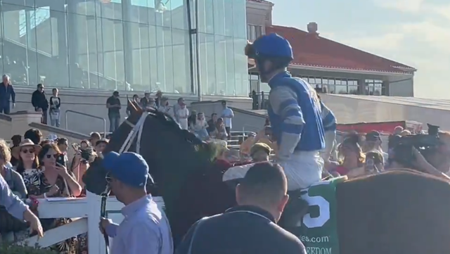Louisiana Derby winner is Catching Freedom - Vimarsana News