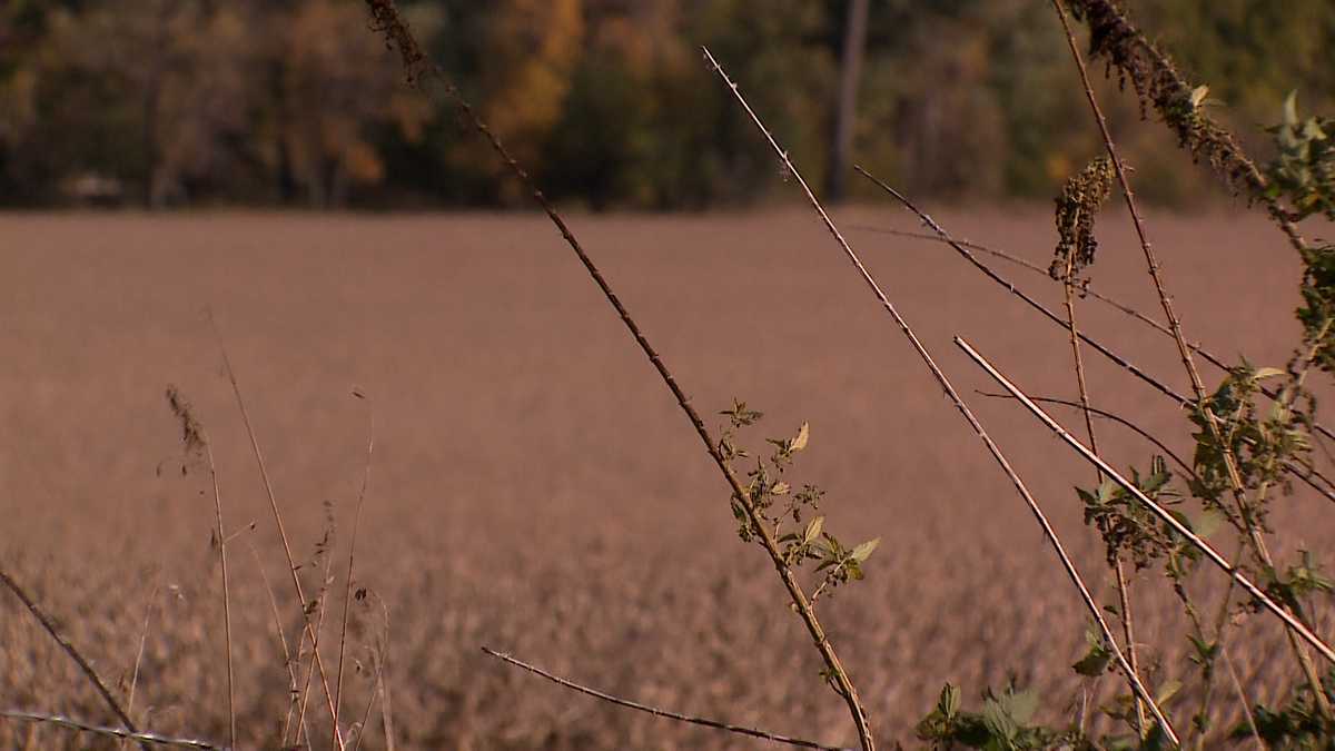 'Not a good idea' Ponca Hills fire chief warns of burn ban