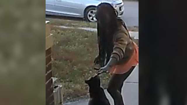 'Just give her back': Woman steals cat off of Omaha porch, Crime Stoppers offers reward - Vimarsana News