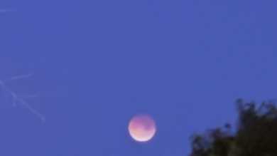 Photo Gallery: Total Lunar Eclipse over South Florida | March 3, 2026