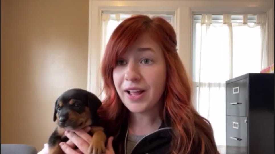 Kentucky Humane Society's final push to reach donation goals for 2021