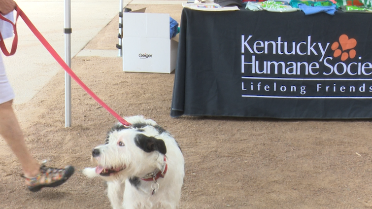 KHS encourages adoption at Waggin' Tail at the Waterfront
