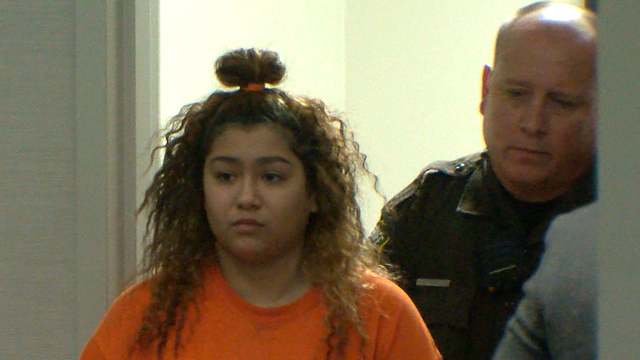 Babysitter charged with killing Sussex family's dog now heading to trial - Vimarsana News