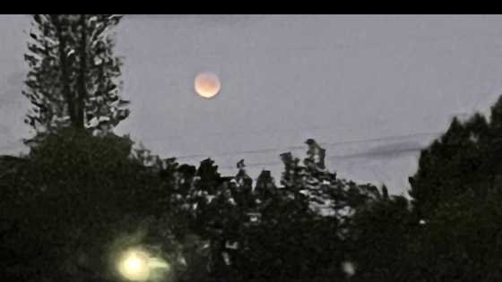 Photo Gallery: Total Lunar Eclipse over South Florida | March 3, 2026