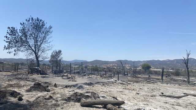 Body found in King City grassfire: MCSO - Vimarsana News