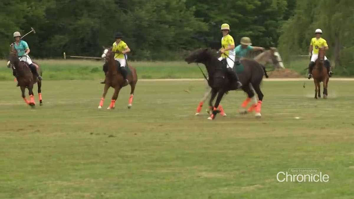 East Kingston's Kingswood Polo Club becoming hub for state's growing polo community