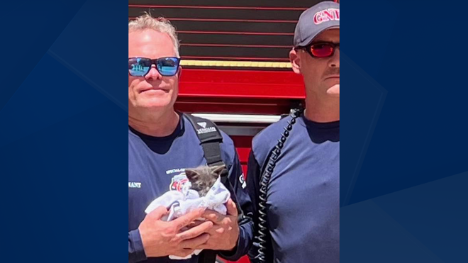 Kitten storm drain rescue