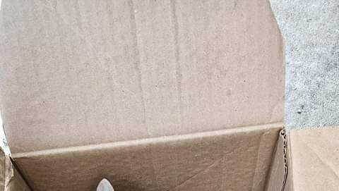 'The box (was) meowing': Kittens left in sealed box outside Iowa law firm - Vimarsana News