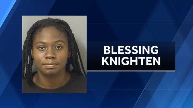Dog trainer in Florida charged with animal cruelty - Vimarsana News
