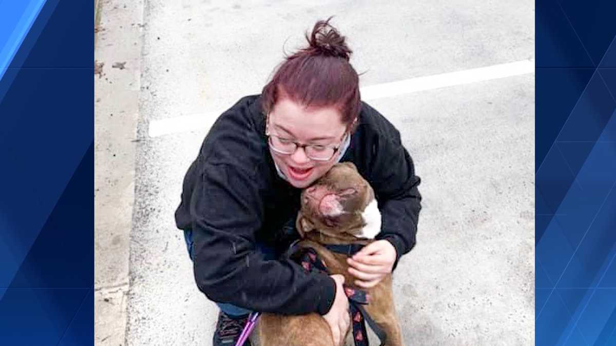 Emergency animal boarding available at BARCS amid COVID19 pandemic