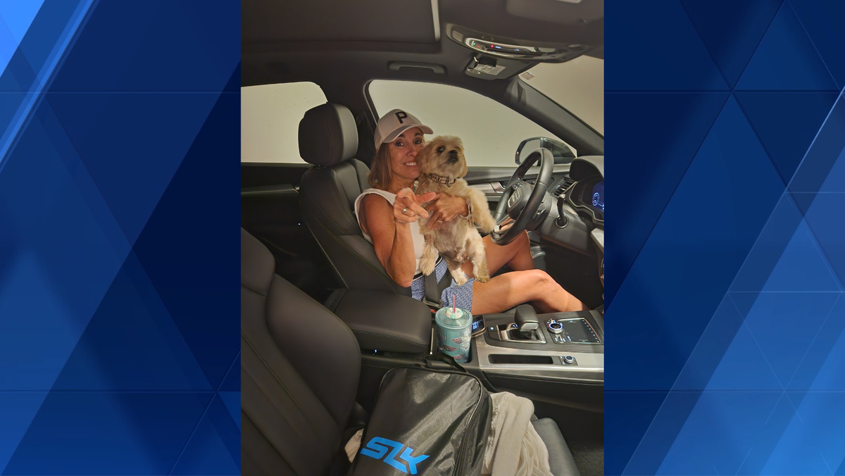 Woman dies after being hit by car in Covington while walking her dog - WLWT