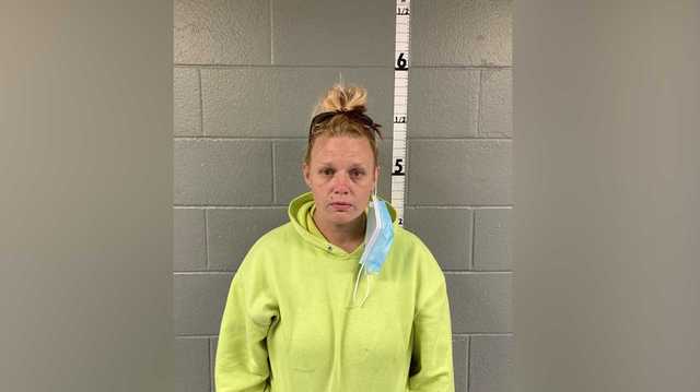 Southern Indiana woman arrested after shooting, killing man harvesting ginseng, ISP says - Vimarsana News